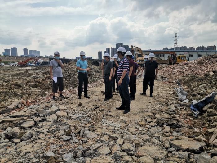 1589962404127834.jpg 2.2调研现场2。潘治昆 摄700.jpg