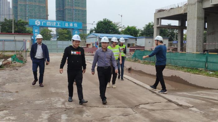 钦州松江宁越东园项目检查。黄文胜 摄.jpg